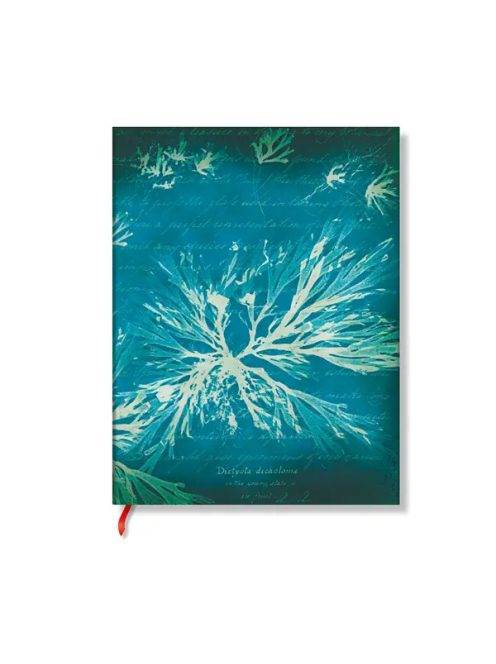 Paperblanks FLEXIS notesz ULTRA FB1365-6 vonalas Sea Flowers, Anna Atkins’ Cyanotypes