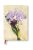 Paperblanks butikkönyv Brazilian Orchid mini üres (9781439735732)