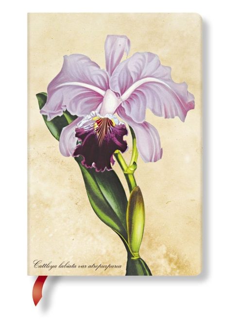 Paperblanks butikkönyv Brazilian Orchid mini üres (9781439735732)