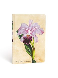   Paperblanks butikkönyv Brazilian Orchid mini üres (9781439735732)