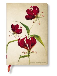   Paperblanks butikkönyv Gloriosa Lily mini vonalas (9781439735749)
