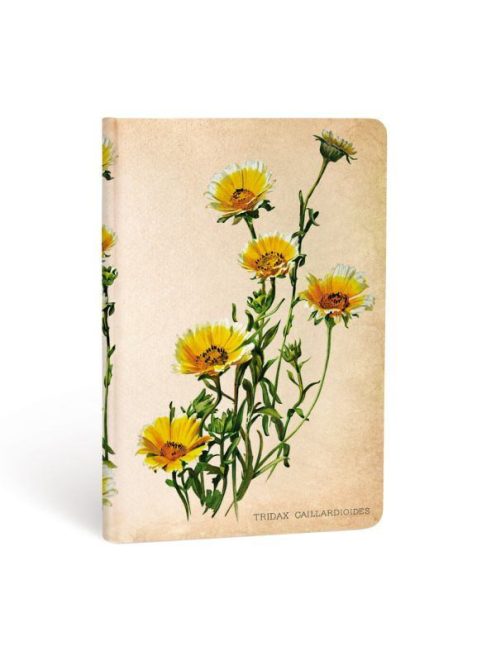 Paperblanks butikkönyv Woodland Daisies mini vonalas (9781439735756)