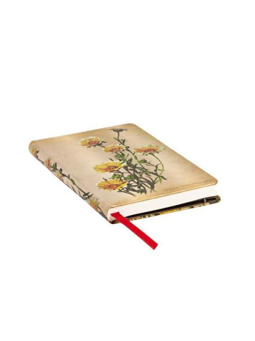 Paperblanks butikkönyv Woodland Daisies mini vonalas (9781439735756)