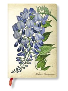   Paperblanks butikkönyv Blooming Wisteria mini üres (9781439735763)