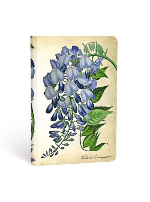 Paperblanks butikkönyv Blooming Wisteria mini üres (9781439735763)