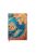 Paperblanks butikkönyv Skybird mini vonalas (9781439796887)